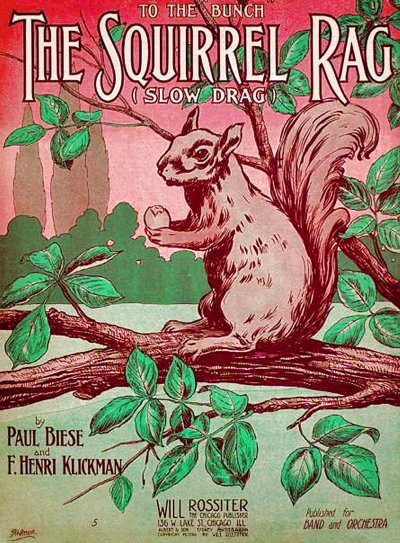 the squirrel rag cover
