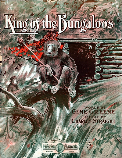 king of the bungaloos cover