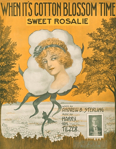 when it's cotton blossom time, sweet rosalie cover