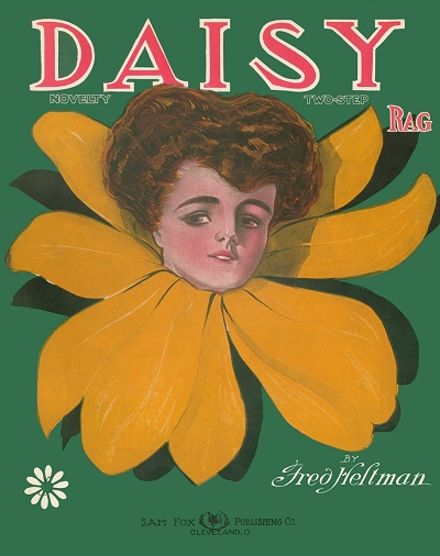 daisy rag cover