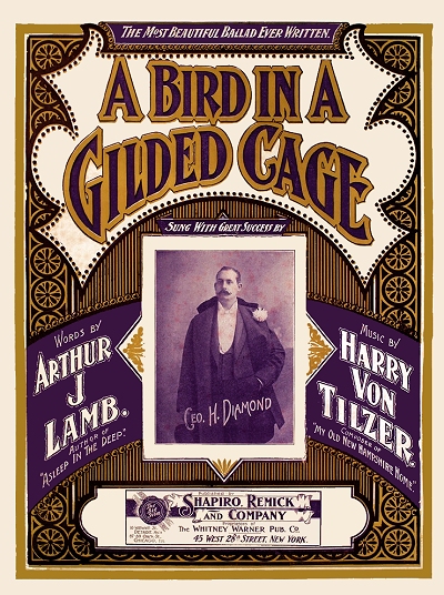 bird in a gilded cage cover