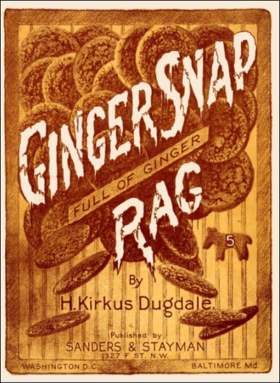 ginger snap rag rag cover