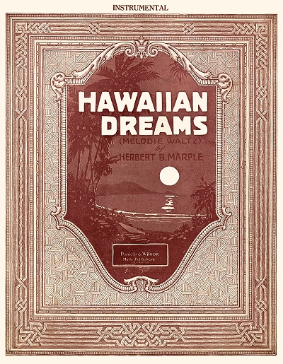 hawaiian dreams instrumental cover
