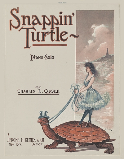 snappin' turtle cover
