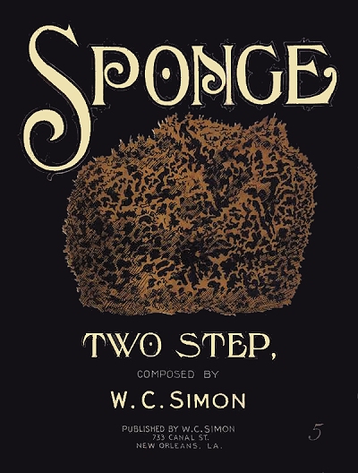 the sponge cover