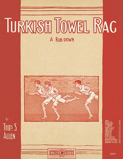turkish towel rag cover