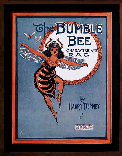 the bumble bee rag cover